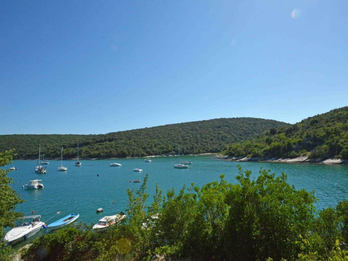 Holiday Home Mario 1 By Interhome Hreljići Dış mekan fotoğraf